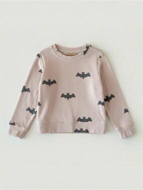 Brokedown Clothing Blush Pink Bat Sweatshirt Gray Print | Girls 3T | USA Made